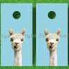 Curious Alpaca Cornhole Decals