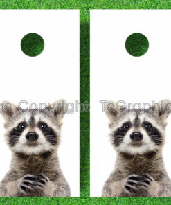 Curious Racoon Cornhole Decal